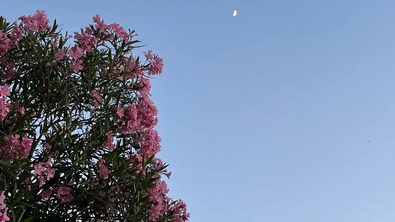 王俊政头像